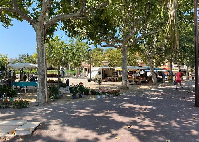 Saint Aygulf - A 250M De La Mer- 3 Pieces 45M2