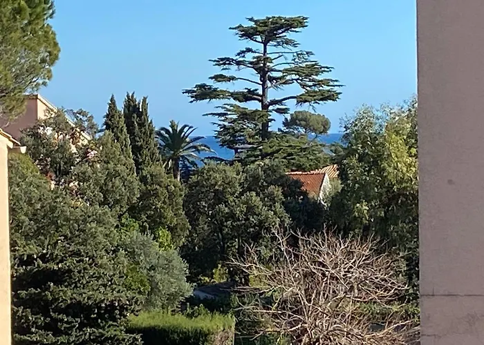 Saint Aygulf - A 250M De La Mer- 3 Pieces 45M2